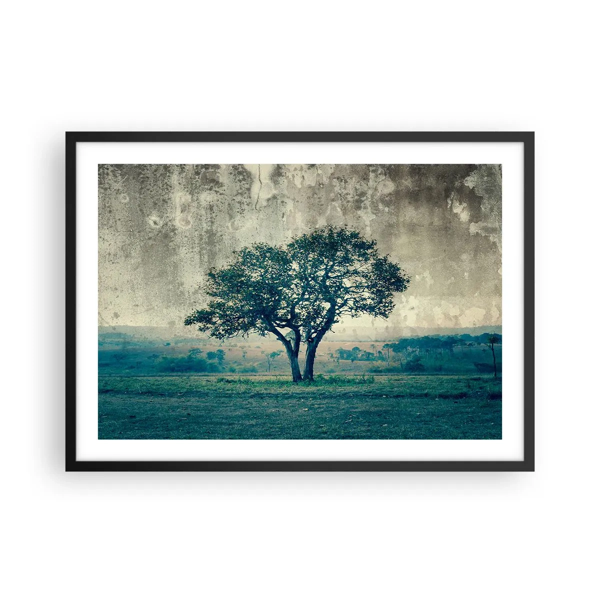 Poster in een zwarte lijst - Een appelboom op een blauw veld? - 70x50 cm