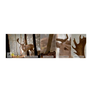 Fotobehang Monster Premium Sand - Het licht van de jeugd - Dieren, Hert, Woud - 100x30 cm
