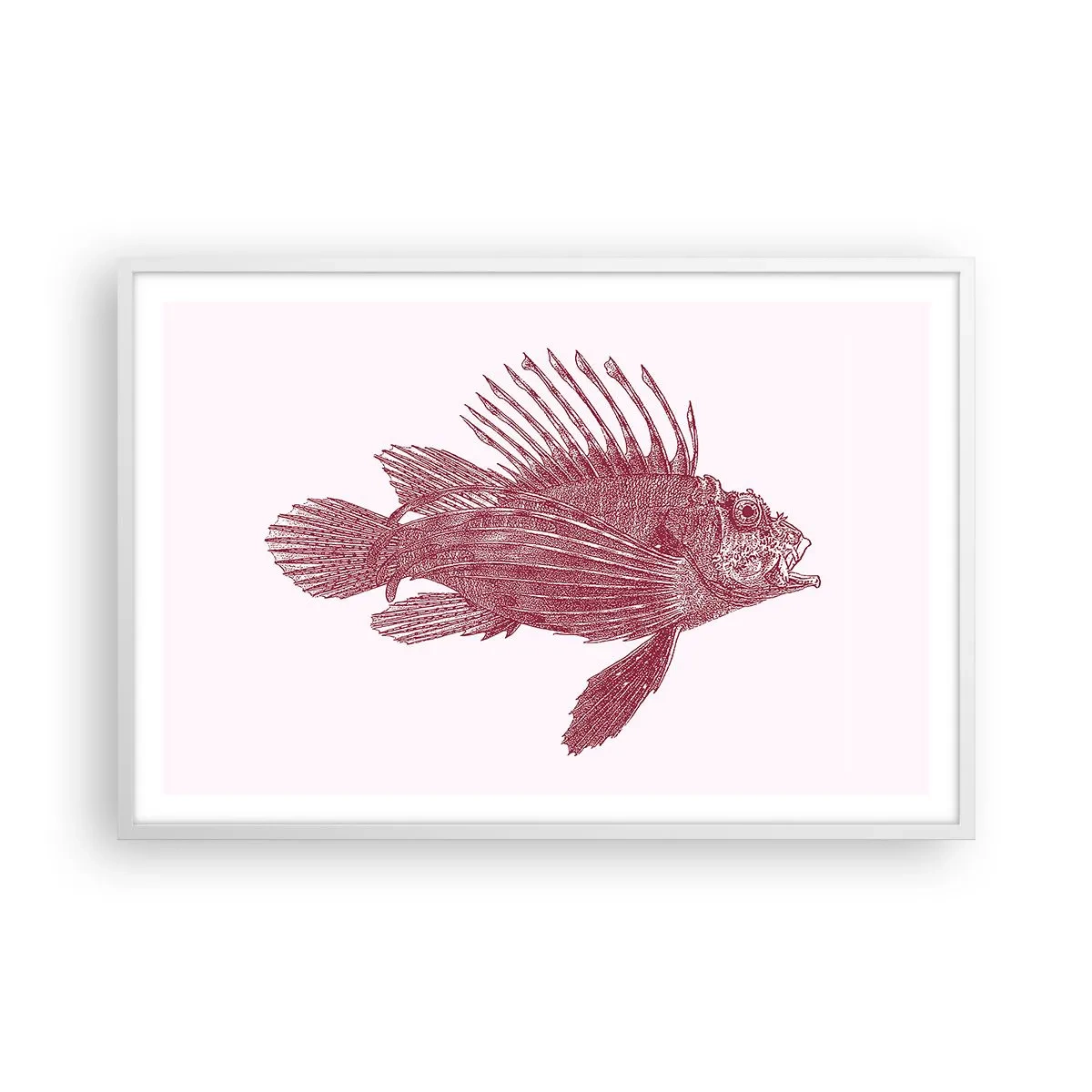 Poster in een witte lijst - Inwoner van exotische wateren - 91x61 cm