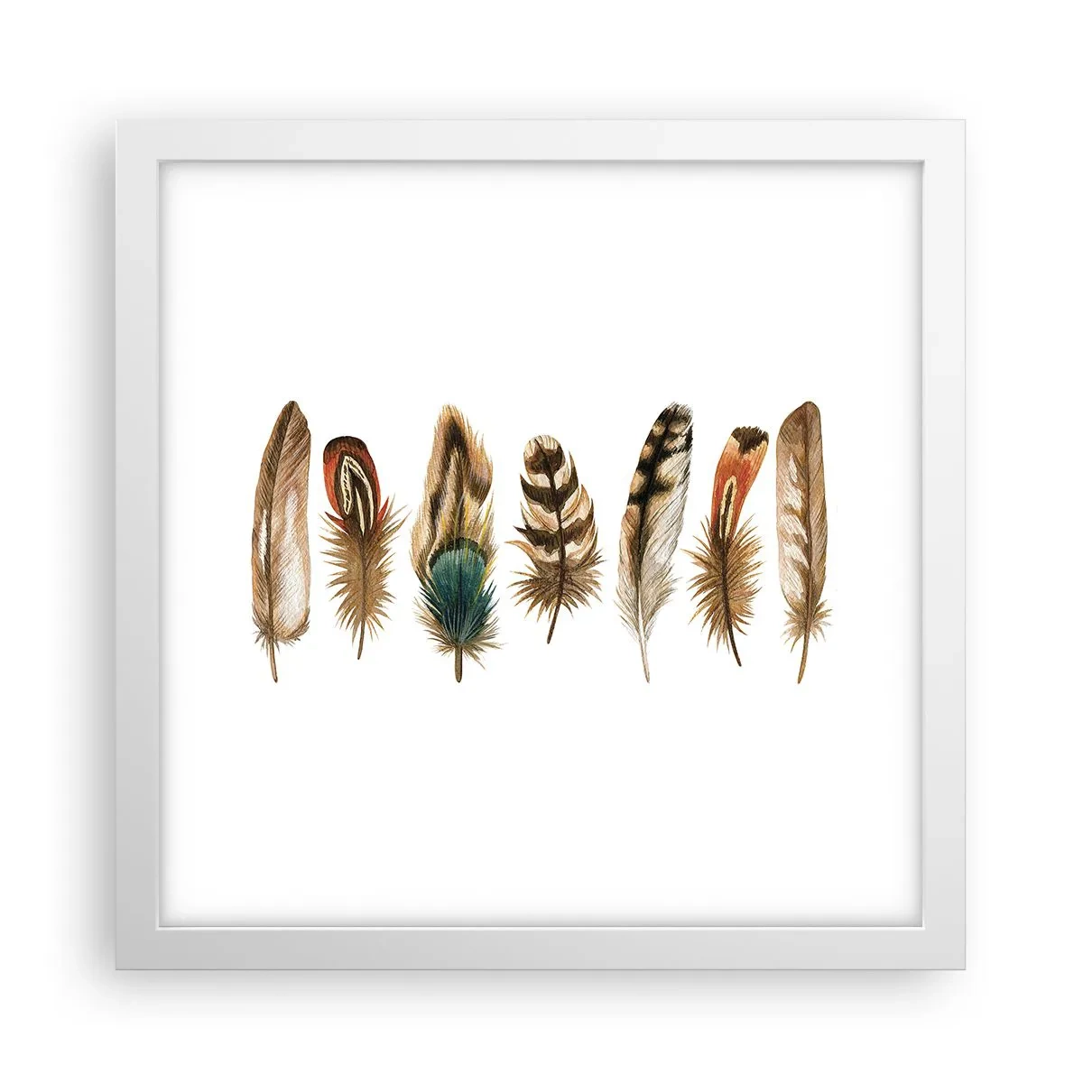 Poster in een witte lijst - Een gevederde variatie - 30x30 cm