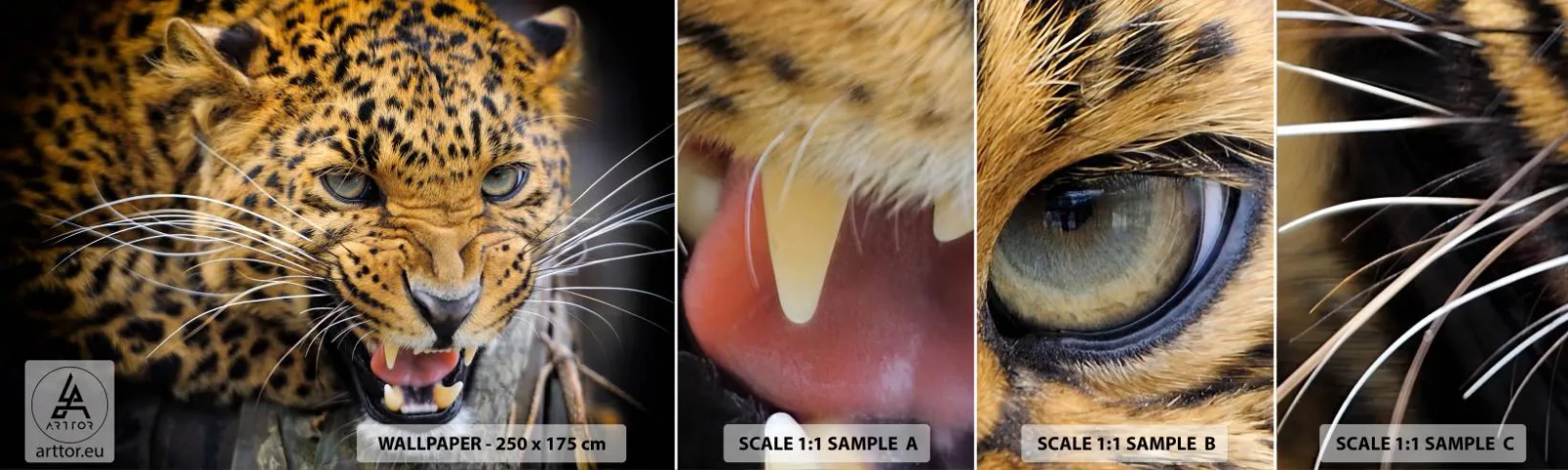 Fotobehang Monster Zelfklevend Deluxe Sticker - Blijf achter, ik waarschuw je! - Dieren, luipaard, Wilde kat - 100x30 cm