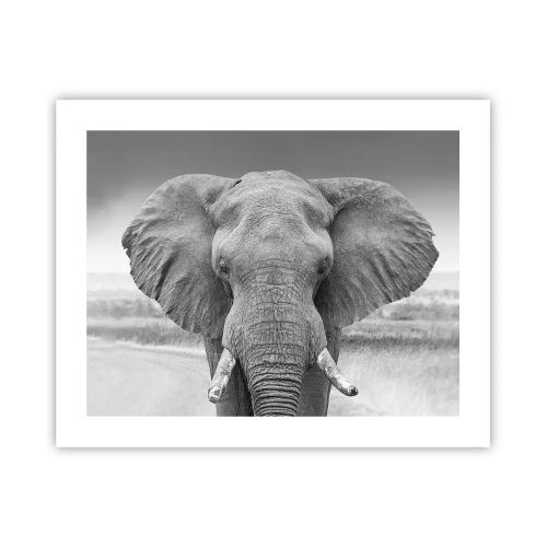 Poster - Welkom in mijn wereld - 50x40 cm