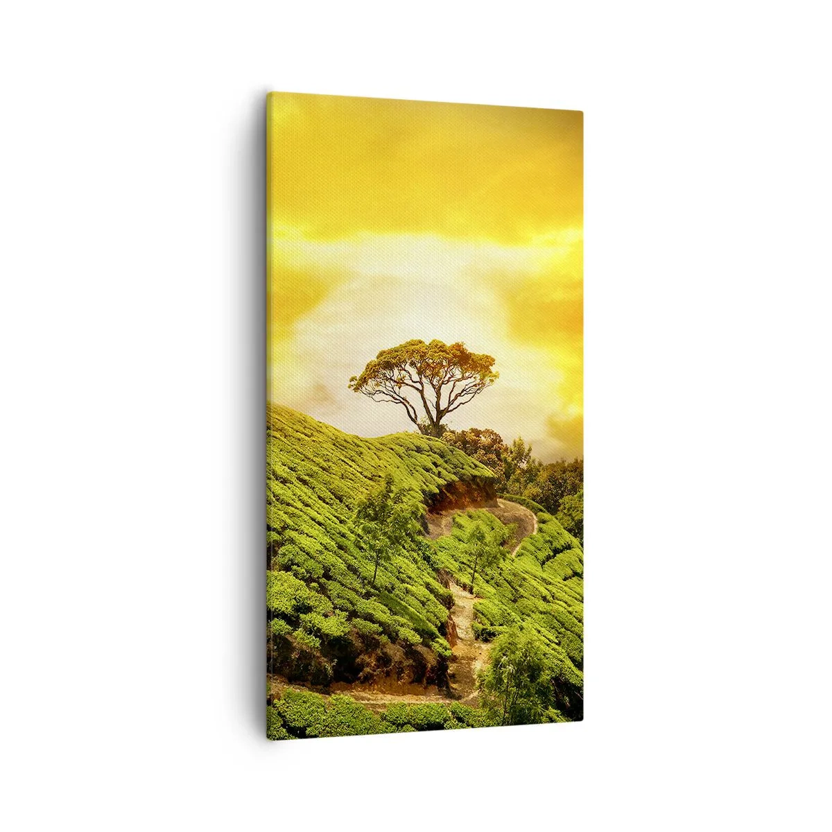 Schilderen op canvas - Een kronkelend pad, een groene helling - 55x100 cm