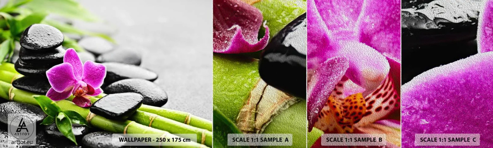 Fotobehang Monster Premium Sand - In een vrede evenwicht - Bloemen, Orchidee, Orchidee - 100x30 cm