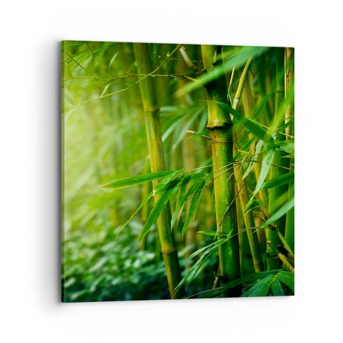 Schilderen op canvas - Maak kennis met groen zelf - 70x70 cm
