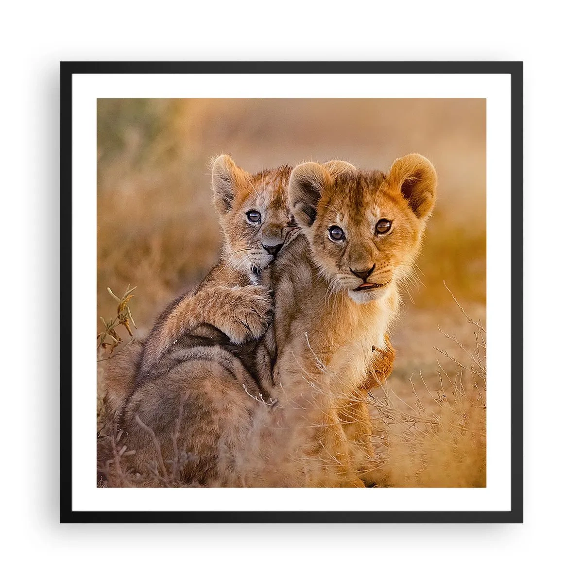 Poster in een zwarte lijst - Niet storen! We hebben plezier - 60x60 cm