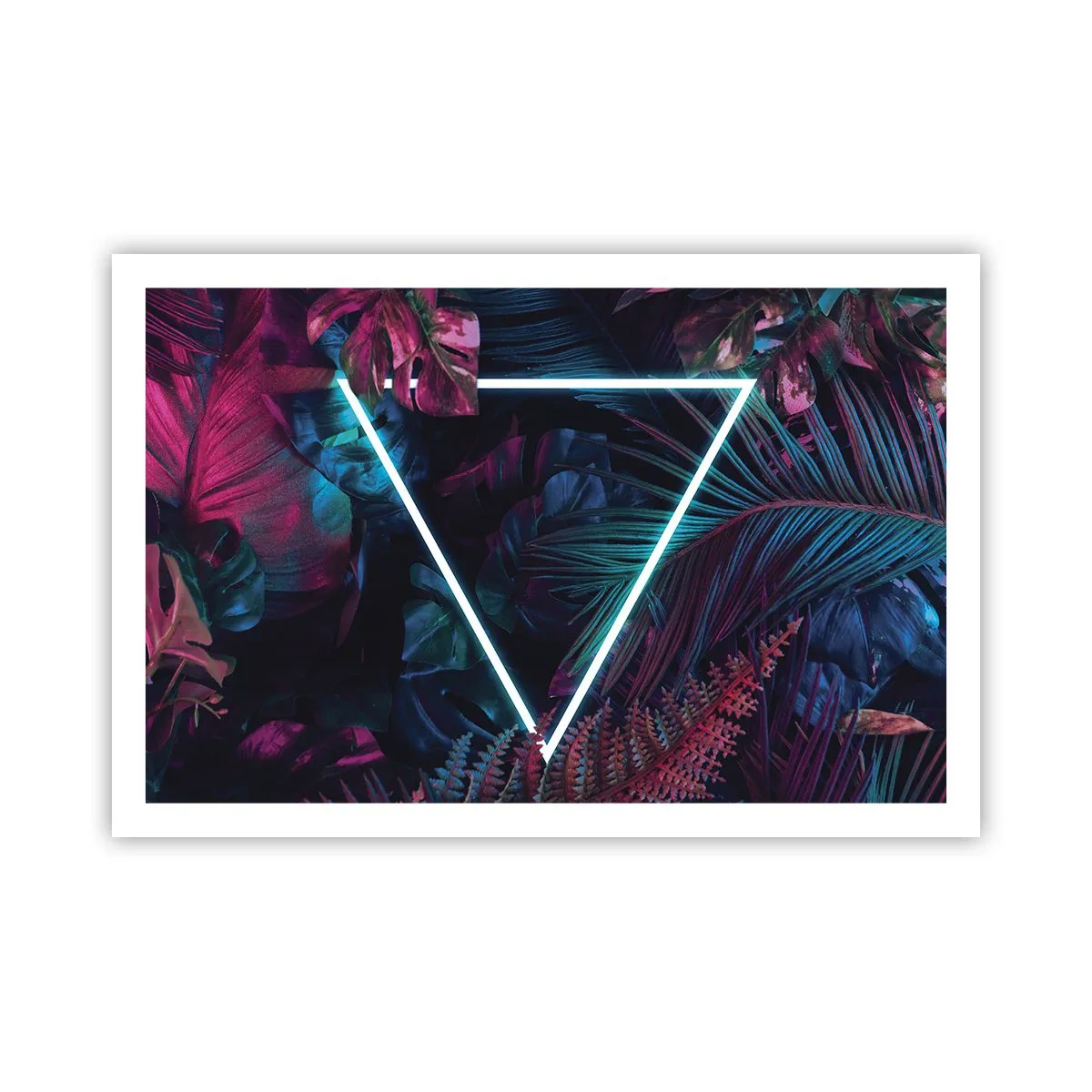 Poster - Disco-achtige tuin - 91x61 cm