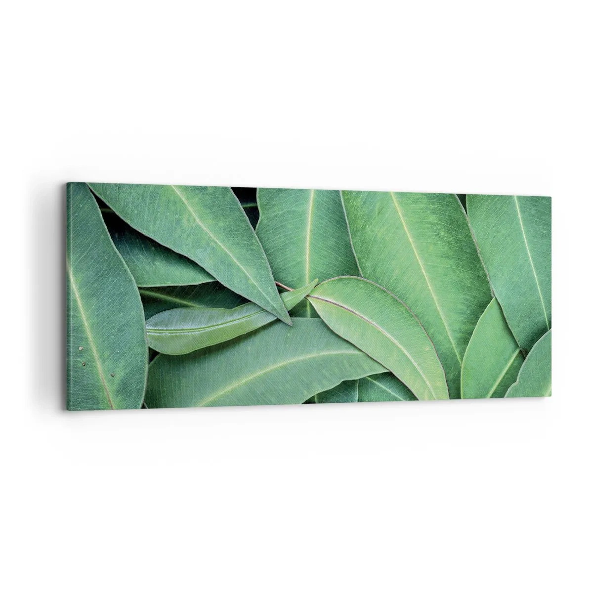Schilderen op canvas - Sappig en fris - 100x40 cm