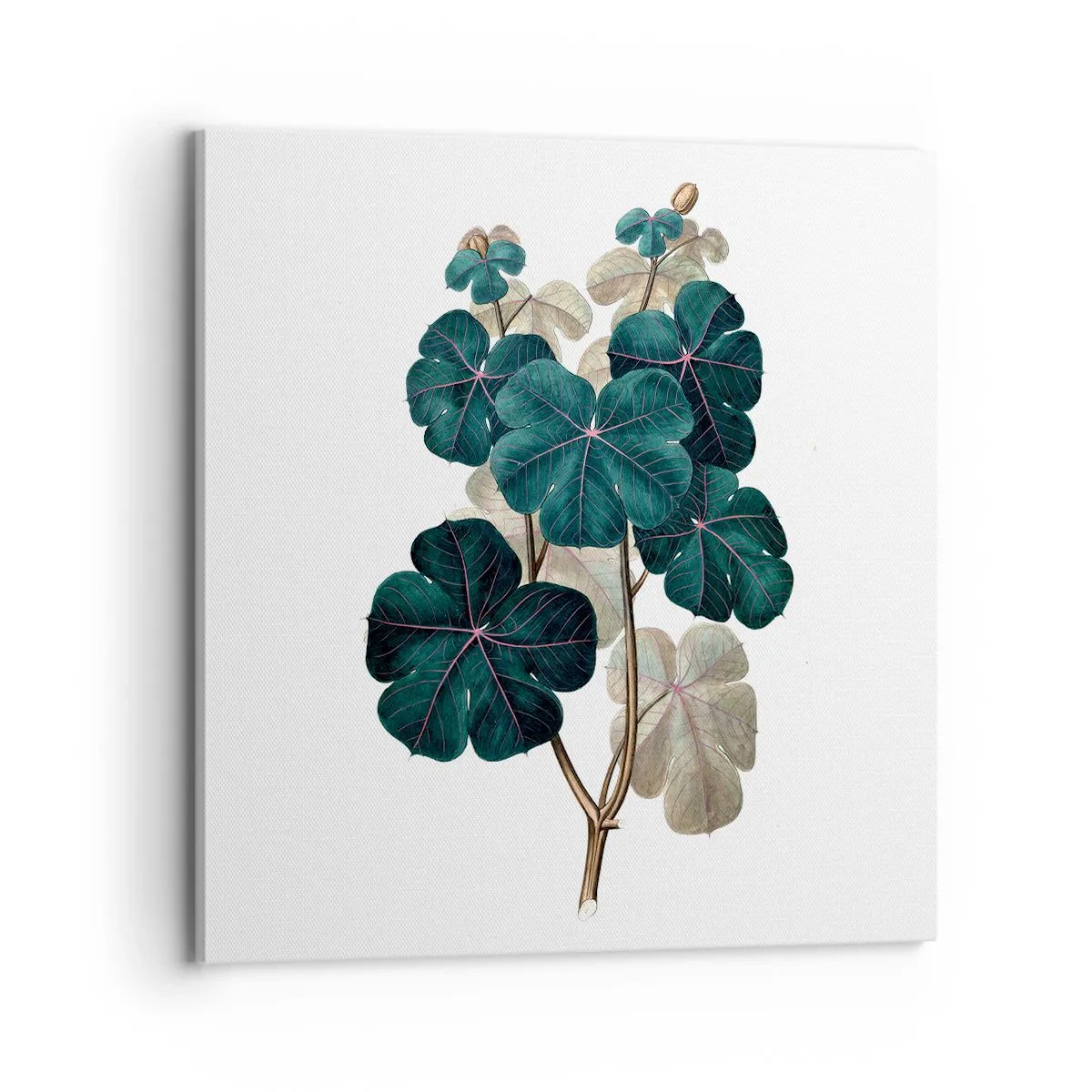 Schilderen op canvas - Uit het oude herbarium - 70x70 cm