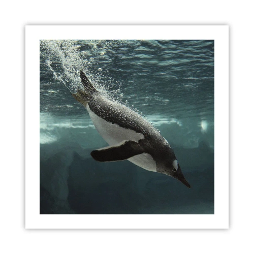 Poster - Welkom in mijn wereld - 50x50 cm