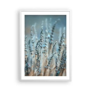 Poster in een witte lijst - Geurig korenveld - 50x70 cm