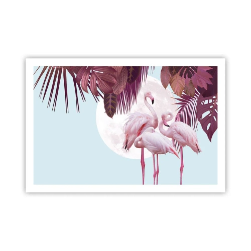Poster - Drie vogel genaden - 91x61 cm