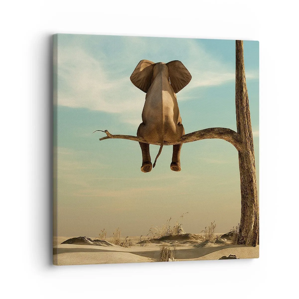 Schilderen op canvas - Een nieuw gezichtspunt - 30x30 cm
