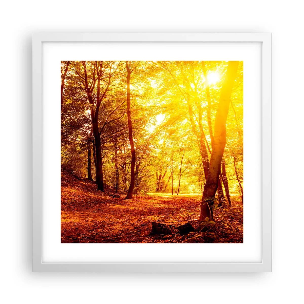 Poster in een witte lijst - Op weg naar de gouden open plek - 40x40 cm