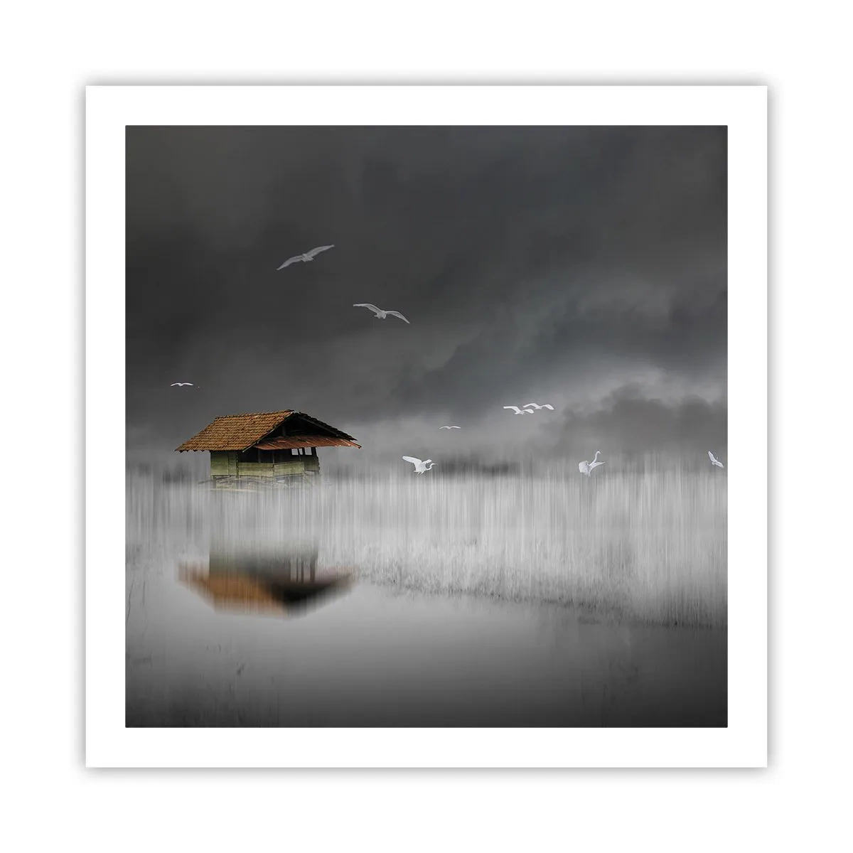 Poster - Beschutting tegen regen - 60x60 cm