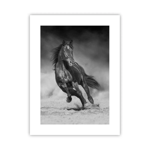 Poster - De emir zelf waardig - 30x40 cm