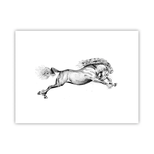 Poster - Vastgehouden in galop - 40x30 cm
