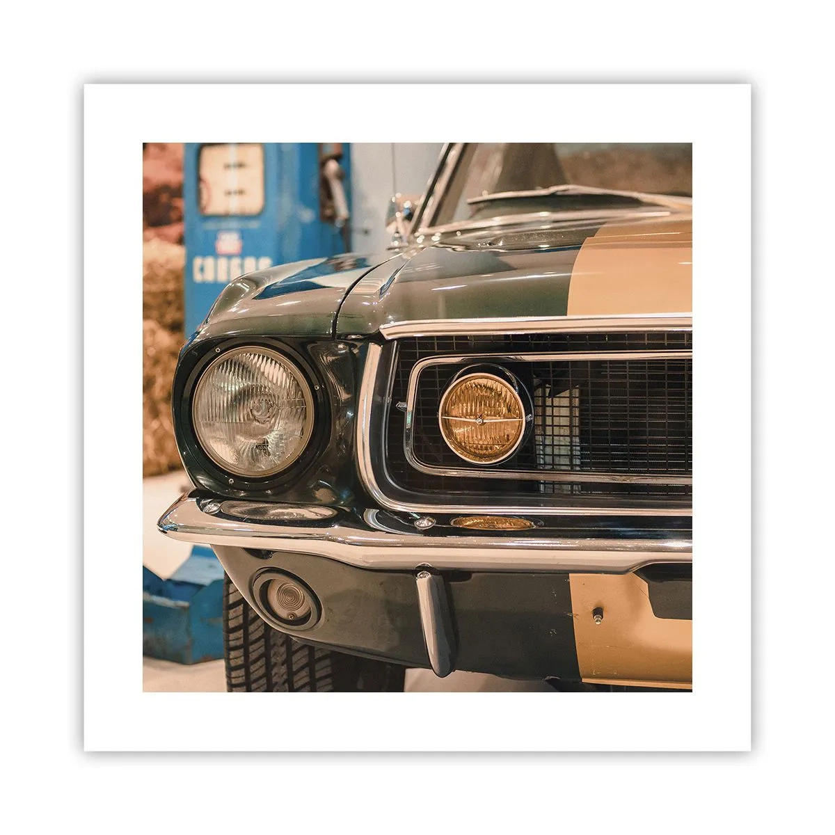 Poster - Ontmoeting met een legende - 40x40 cm