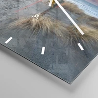 Dash schild