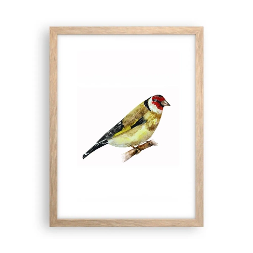 Een poster in een licht eiken lijst - Vogel portret - 30x40 cm