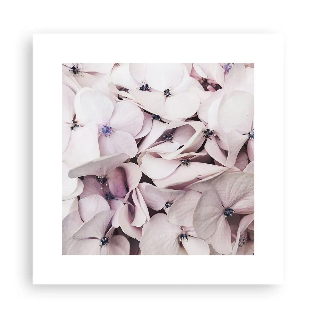 Poster - In een vloed van bloemen - 30x30 cm