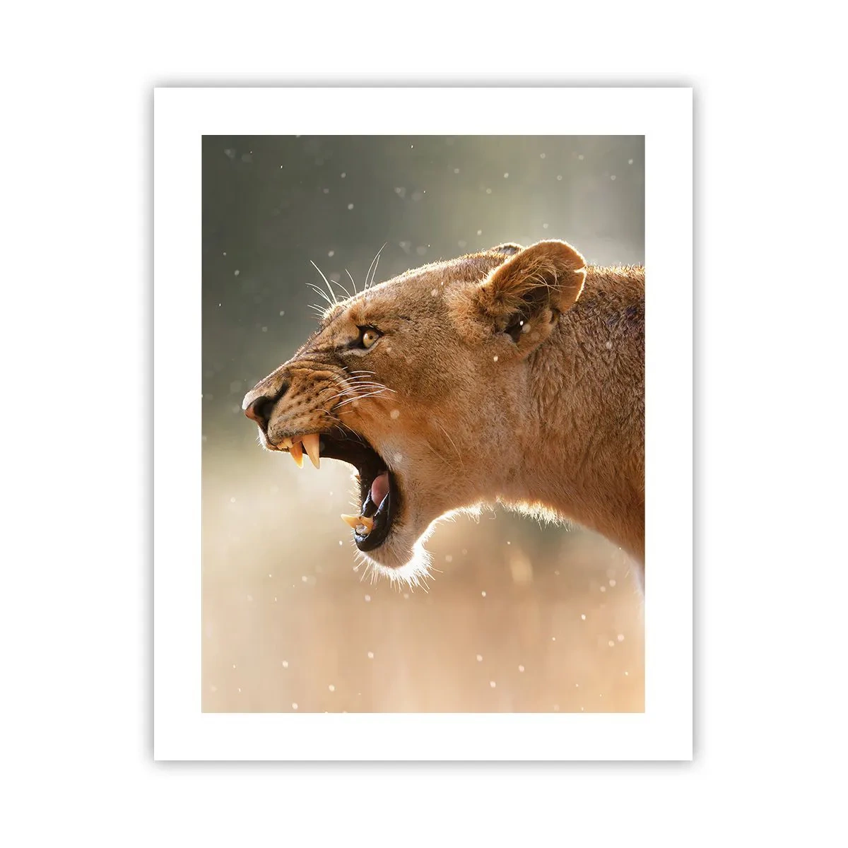 Poster - Probeer niet te luisteren - 40x50 cm
