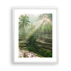 Poster in een witte lijst - Opgroeien in de zon - 40x50 cm