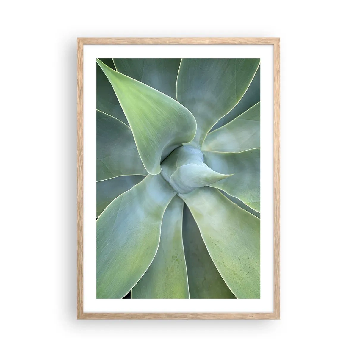 Een poster in een licht eiken lijst - De geboorte van groen - 50x70 cm