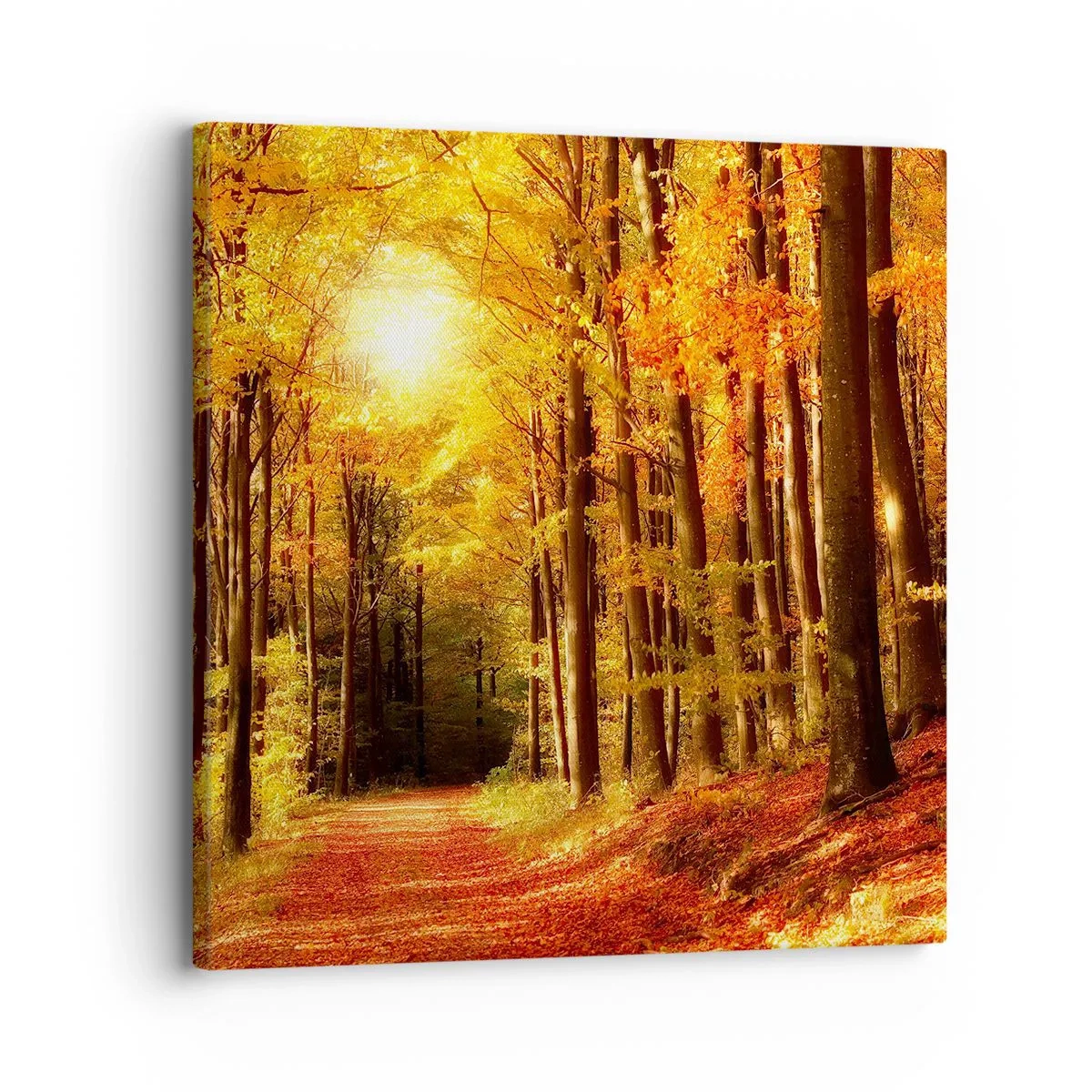 Schilderen op canvas - Gouden herfst op een bosweg - 30x30 cm