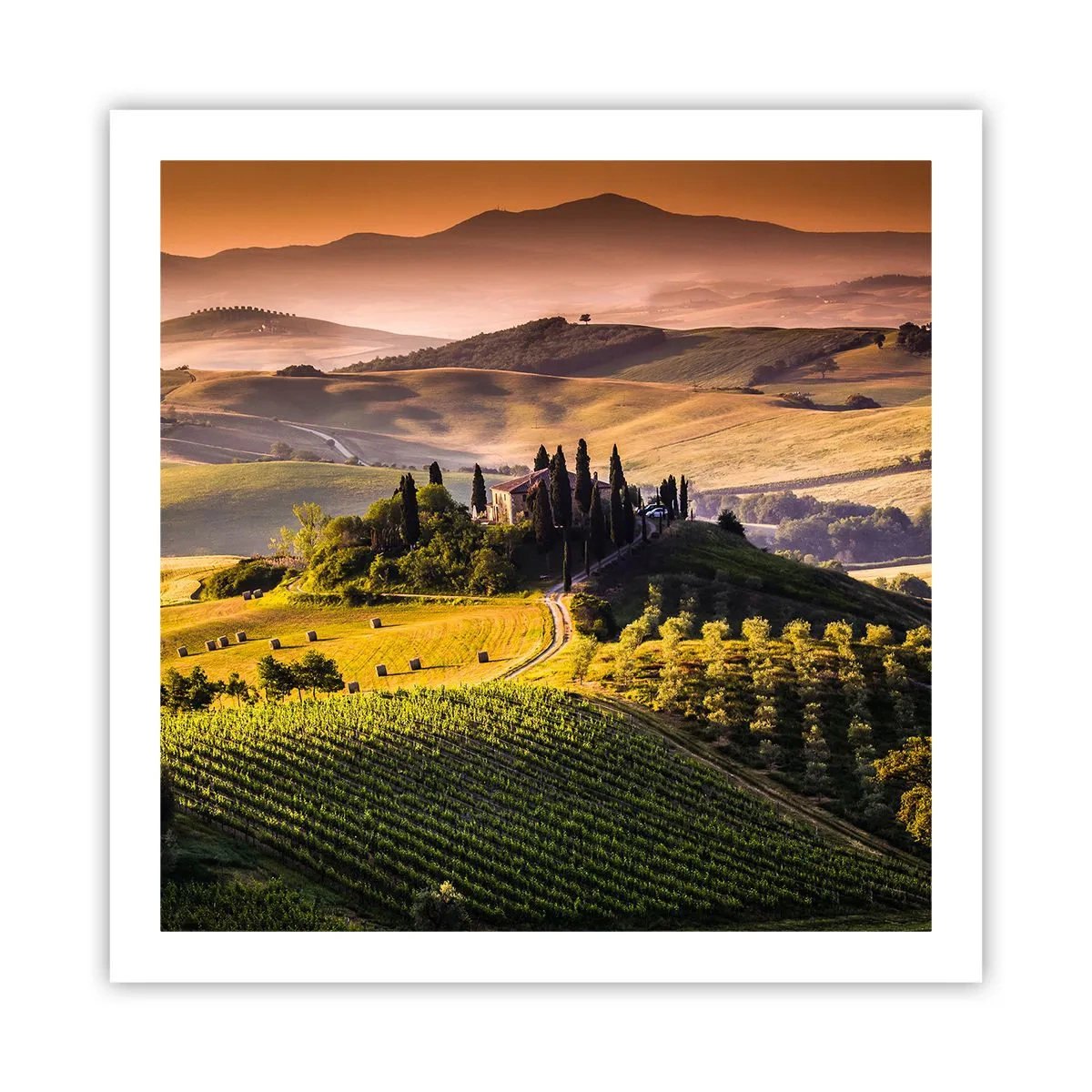 Poster - Arcadia - het Toscaanse landschap - 60x60 cm