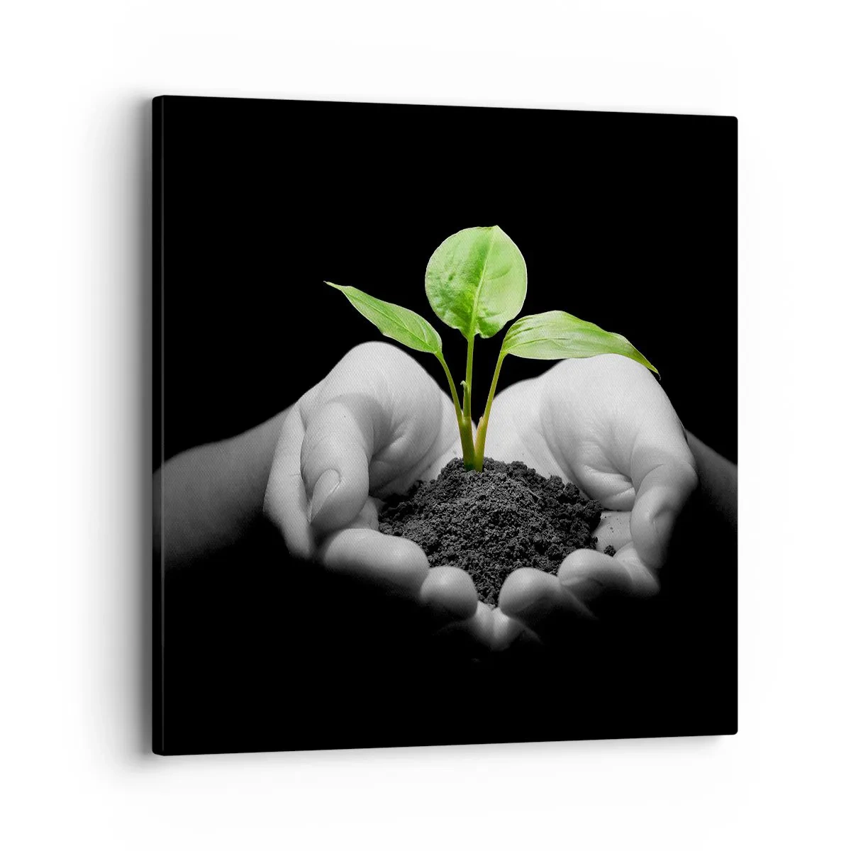 Schilderen op canvas - Ik hou van de natuur, ik bescherm haar - 40x40 cm