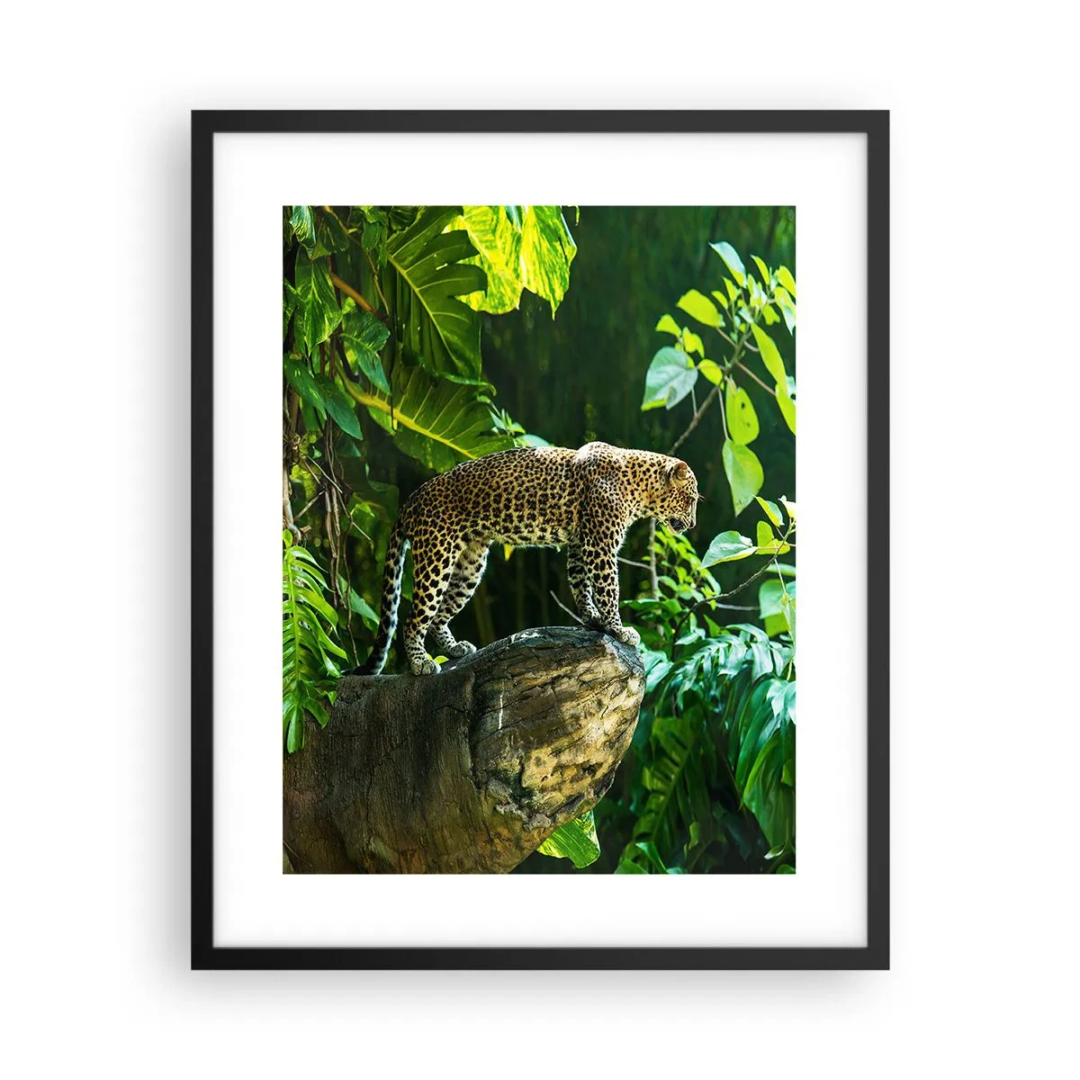 Poster in een zwarte lijst - Op jacht? - 40x50 cm