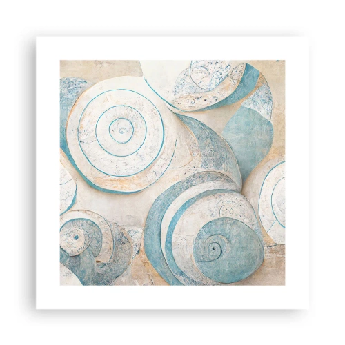 Poster - Wat zit er in de schelp? - 40x40 cm