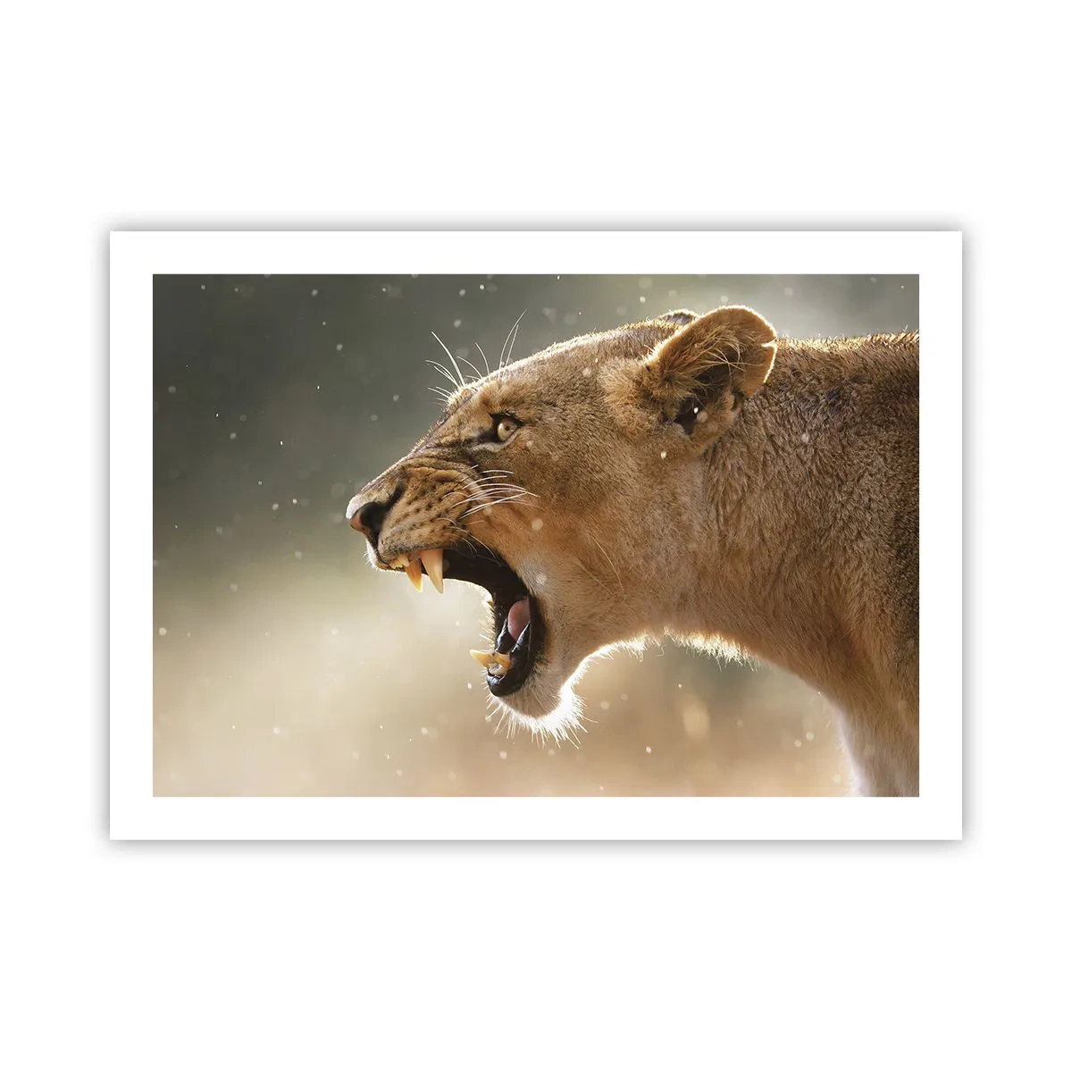 Poster - Probeer niet te luisteren - 70x50 cm