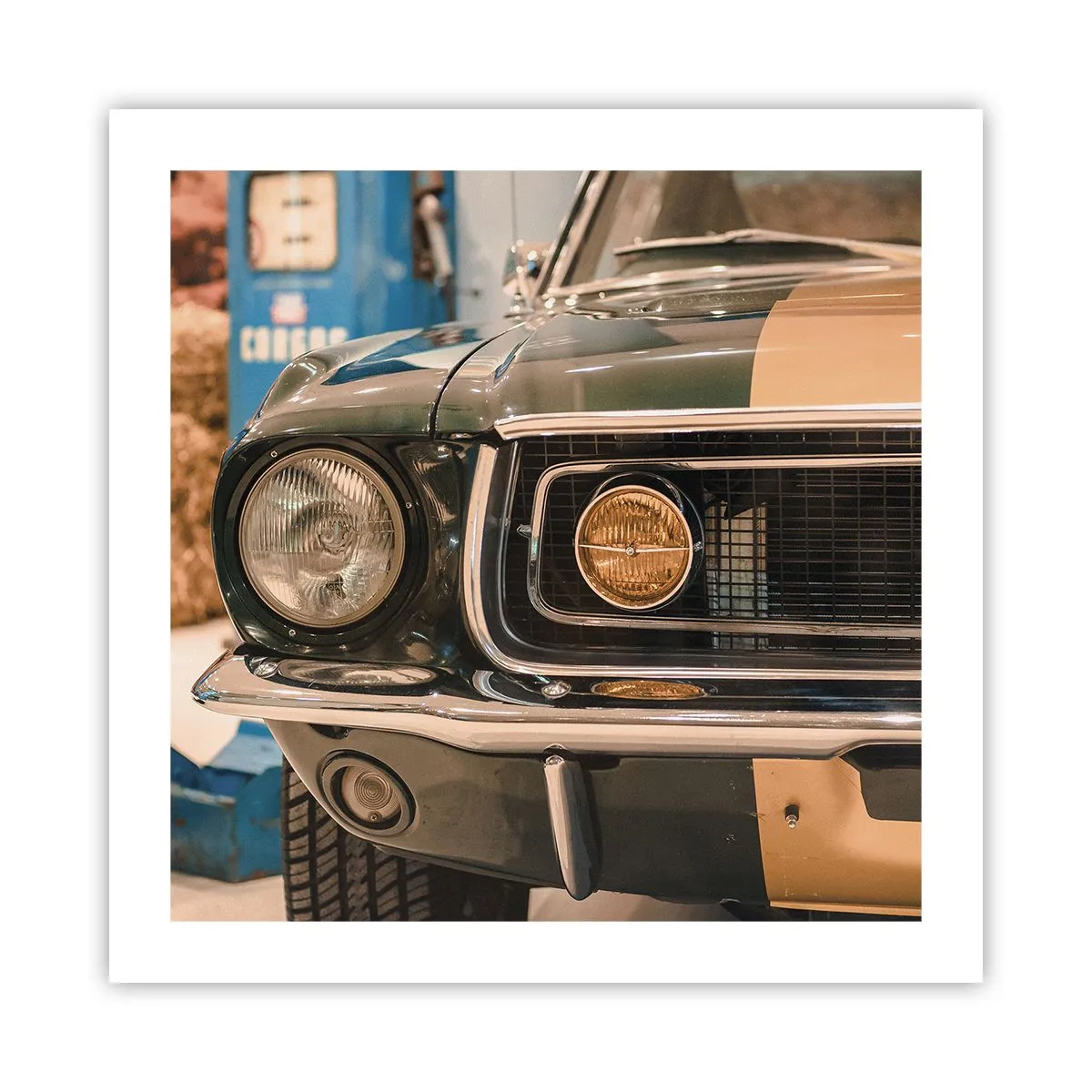 Poster - Ontmoeting met een legende - 50x50 cm