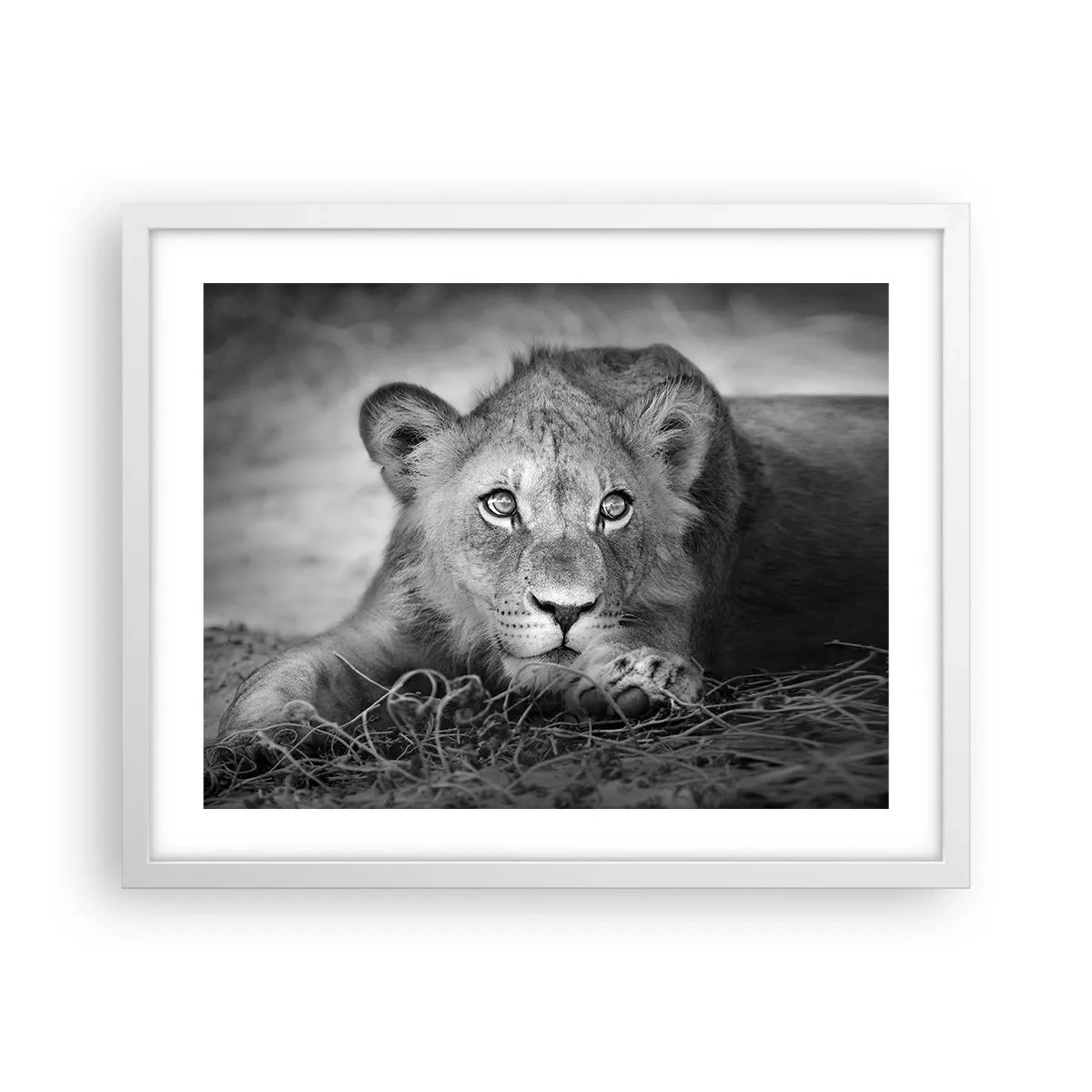 Poster in een witte lijst - Koninklijke puppy - 50x40 cm