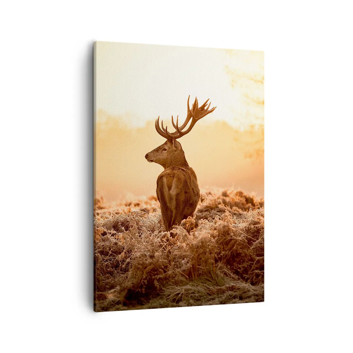 Schilderen op canvas - Heer van het landgoed - 50x70 cm