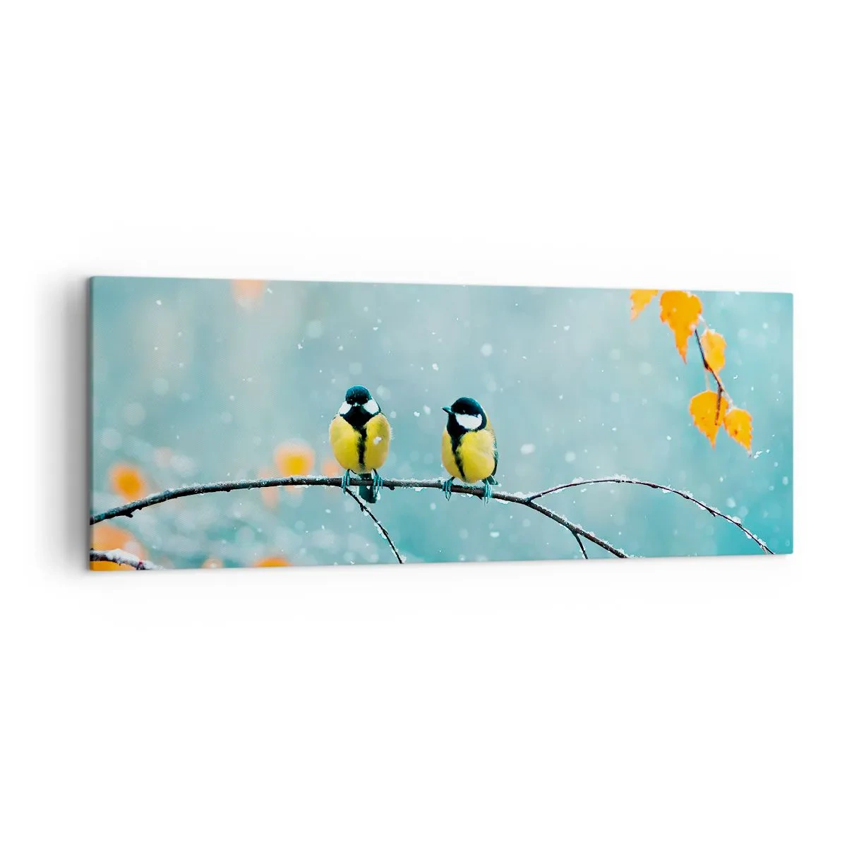 Schilderen op canvas - Vogelroddel - 140x50 cm