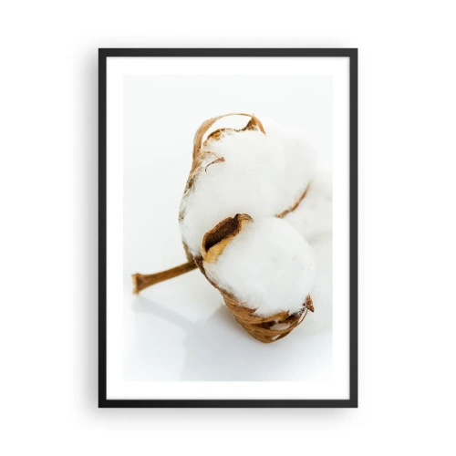 Poster in een zwarte lijst - Een close-up van een katoentak met delicate witte vezels. - 50x70cm - Zacht van aard - Moderne wanddecoratie voor woonkamer en slaapkamer ARTTOR