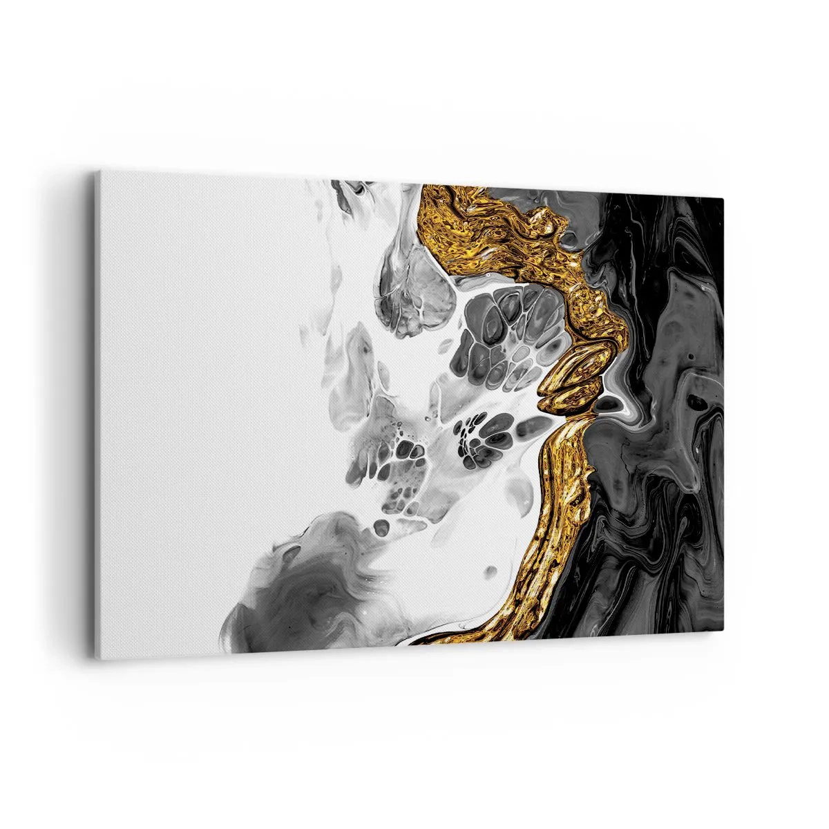 Schilderen op canvas - Organische samenstelling - 100x70 cm