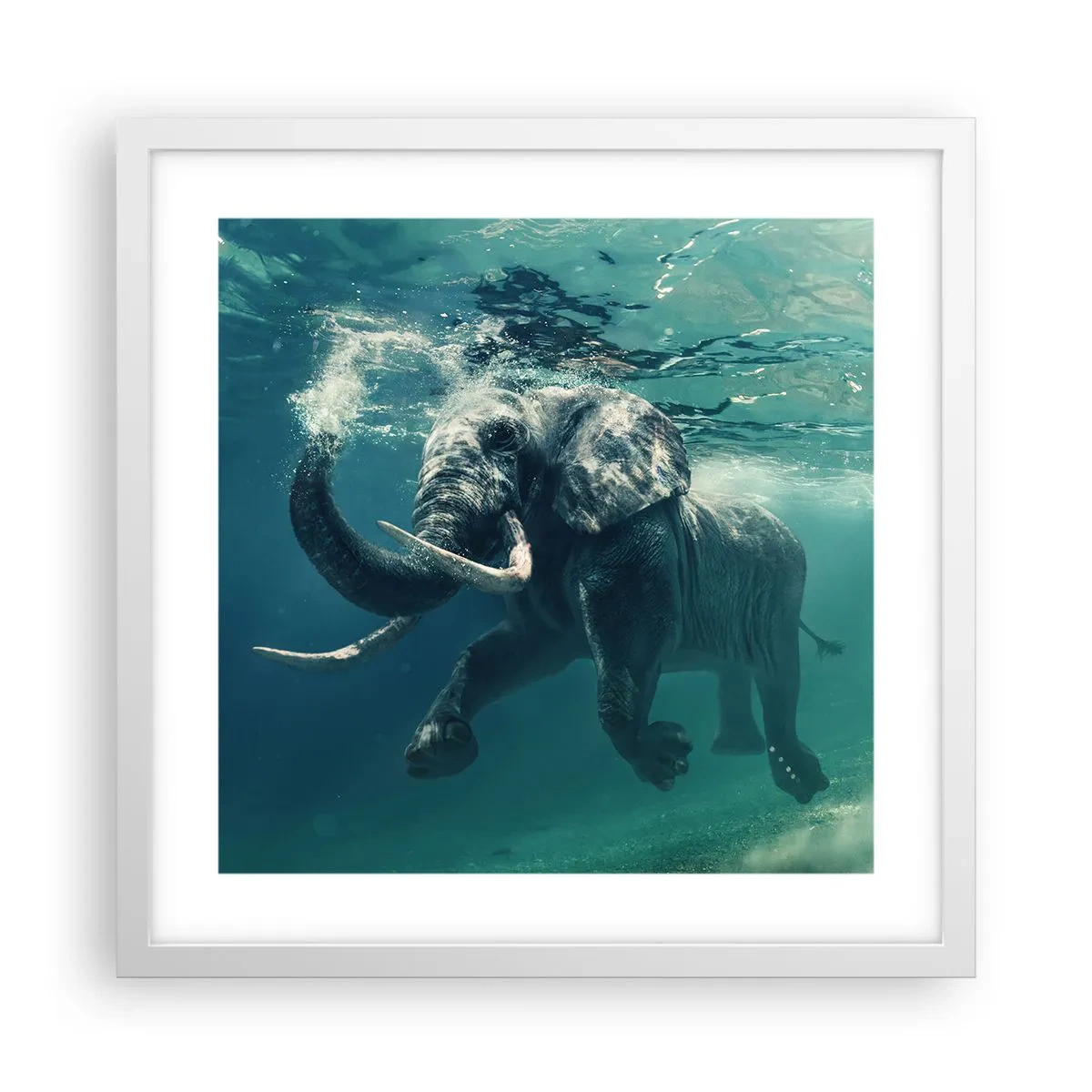 Poster in een witte lijst - Iedereen houdt van zwemmen - 40x40 cm