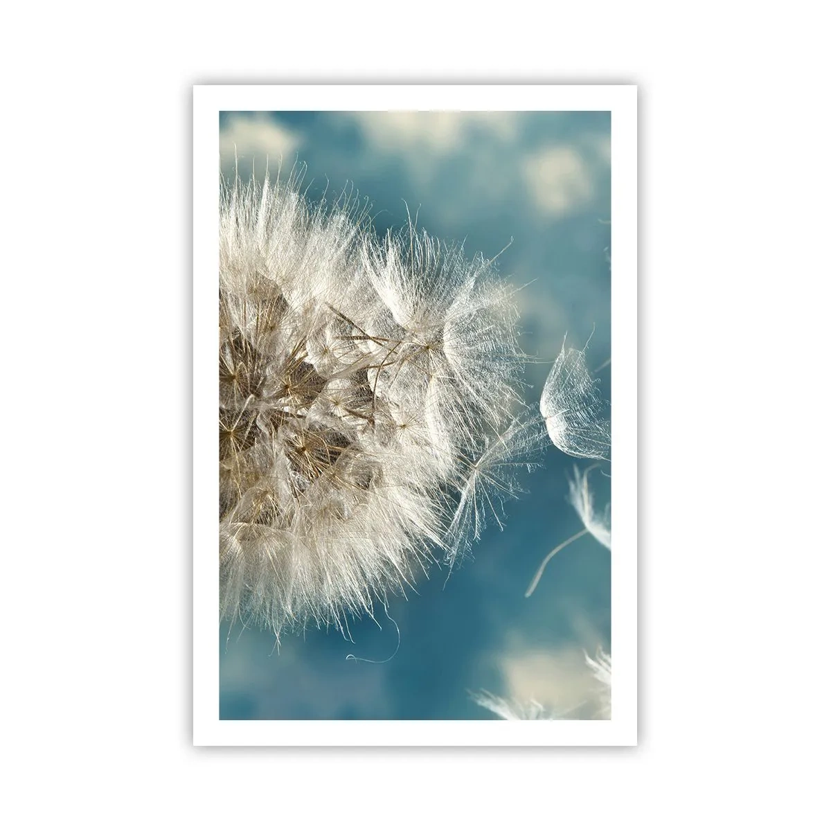 Poster - Engelen adem - 61x91 cm