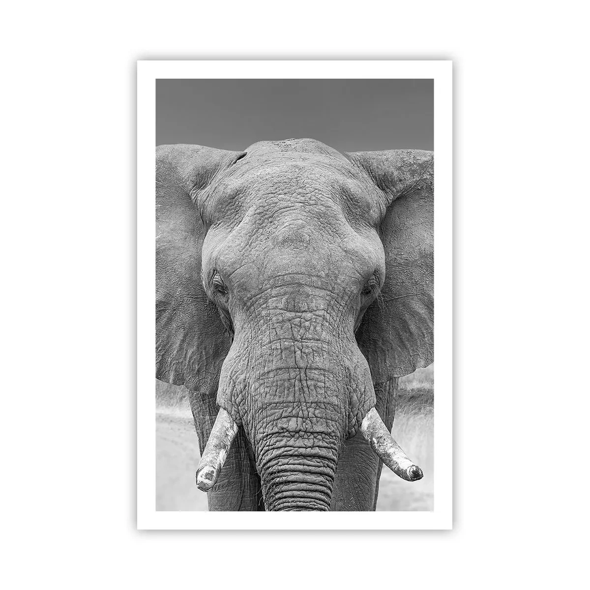 Poster - Welkom in mijn wereld - 61x91 cm