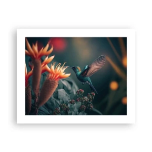 Poster - een werkelijk kleurrijk leven - 50x40 cm