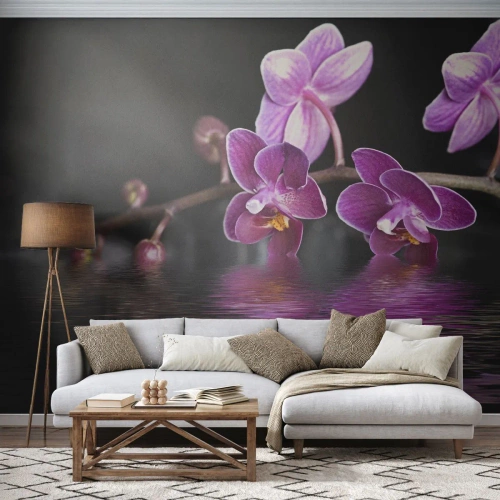Zelfklevend Fotobehang Deluxe Sticker - Lila weerspiegeling van schoonheid - Bloemen, Orchidee, Natuur - 300x210 cm
