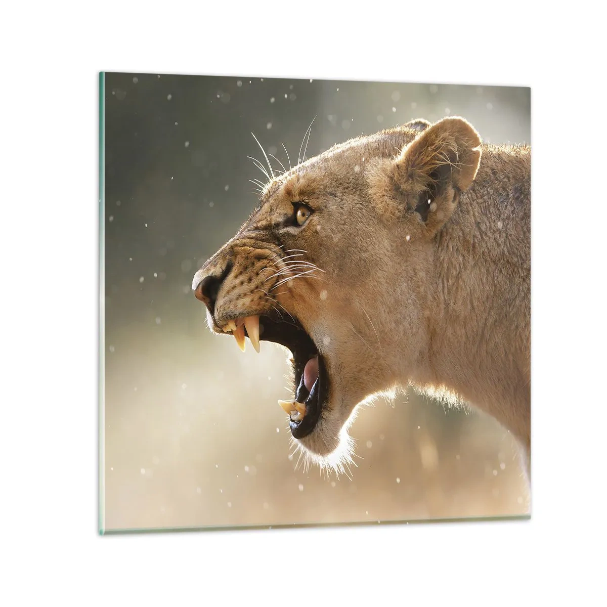 Schilderen op glas - Probeer niet te luisteren - 30x30 cm
