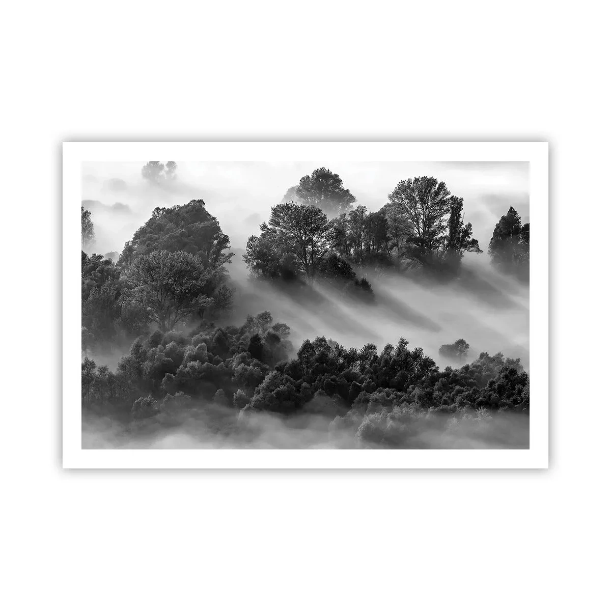 Poster - Opstaand uit de slaap - 91x61 cm