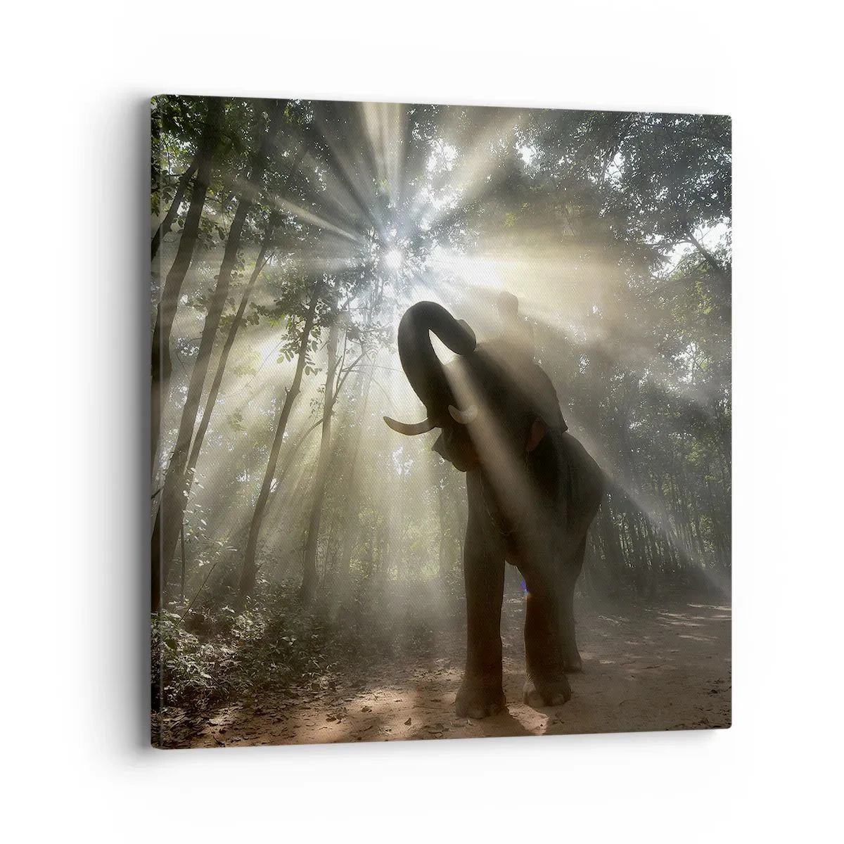 Schilderen op canvas - Onder de gelukkige ster - 40x40 cm