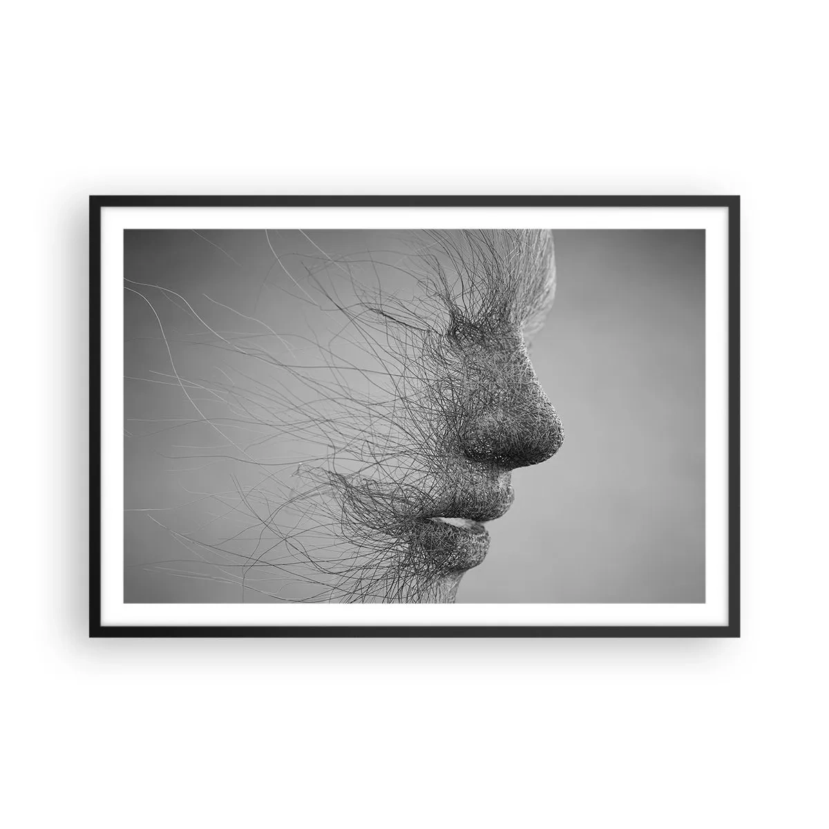 Poster in een zwarte lijst - De geest van de wind - 91x61 cm