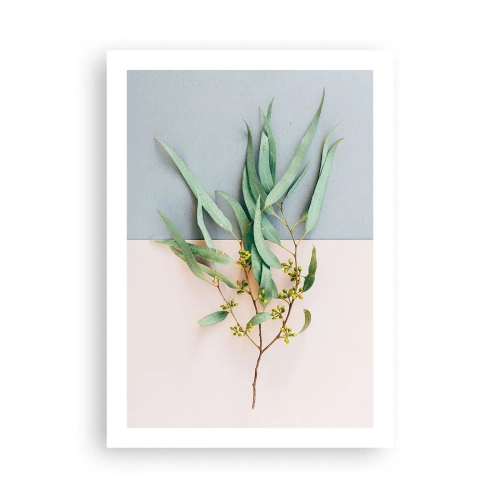 Poster - Subtiliteit in pastelkleuren - 50x70 cm